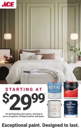 Image 96: Paint starting at $29.99*