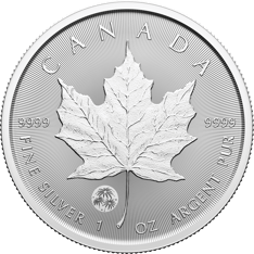 Silver coin with a maple leaf and a fireworks privy mark. Text: &quot;Canada&quot;, &quot;9999&quot;, &quot;1 oz Fine Silver&quot;.