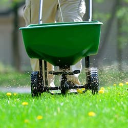 Blog Content\article-3_how-to-care-for-your-lawn-in-every-season\blog_article-thumbnail_article-3_how-to-care-for-your-lawn-in-every-season.jpg