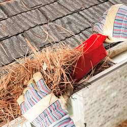 Blog Content\article-5_what-every-homeowner-needs-to-know-about-cleaning-their-gutters\blog_article-thumbnail_article-5_what-every-homeowner-needs-to-know-about-cleaning-their-gutters.jpg