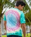 Grateful Dead Endless Summer - Tie Dye Short Sleeve Crewneck T-Shirt