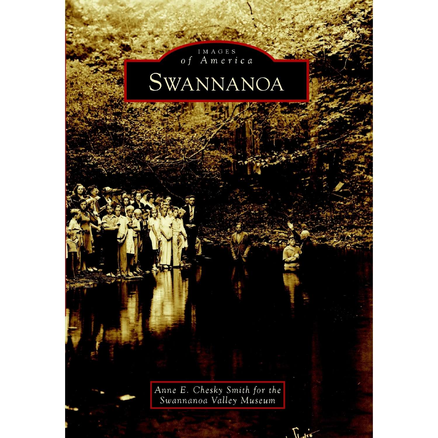 Arcadia Publishing Swannanoa History Book Ace Hardware