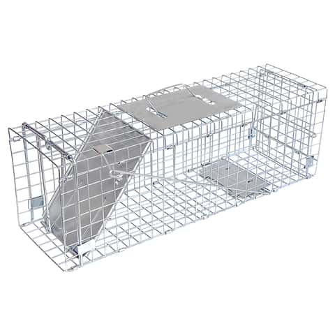 Animal Traps - Ace Hardware