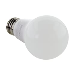 Satco . A19 E26 (Medium) LED Bulb Cool White 60 Watt Equivalence 100 pk