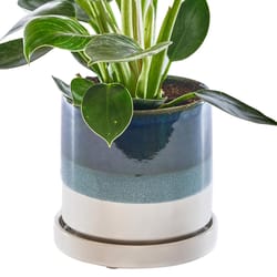 Chive Minute 5 in. D Ceramic Flower Pot Green Blue