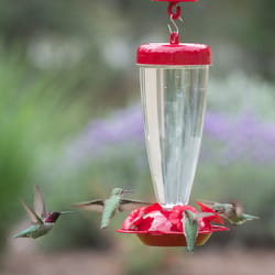 Perky-Pet Hummingbird 24 oz Plastic Petunia Top Nectar Feeder 4 ports
