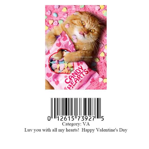 Valentine's Paper Airplanes Exchange Cards, 24-pk