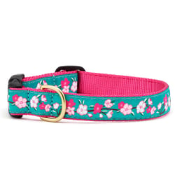 Up Country Multicolor Cherry Blossoms Nylon Dog Collar Medium