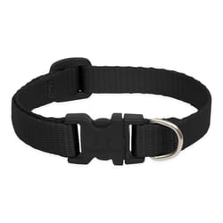 Lupine Pet Basic Solids Black Black Nylon Dog Adjustable Collar