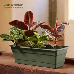 Bloem Dura Cotta 5.75 in. H X 18 in. W X 7.5 in. D Plastic Window Box Living Green