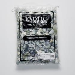 Exotic Pebbles & Aggregates Jade Stone Deco Pebbles 20 lb