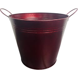 Robert Allen Jackson Ironlite 4 in. W Metal Planter Ruby Red