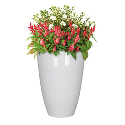 L&G Solutions 22 in. H X 16 in. D Polyresin Baja Planter White