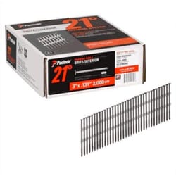 Paslode 3 in. L X 16 Ga. Angled Strip Brite Framing Nails 21 deg 2,000 pk