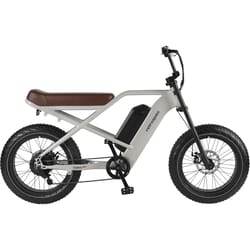 Retrospec Valen Rev 2 Unisex 20 in. D Electric Bicycle Slate