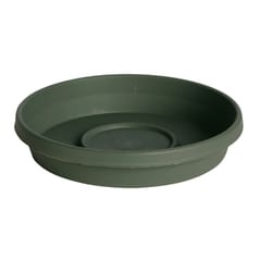 Bloem Terratray 2.7 in. H X 17 in. D Resin Traditional Tray Thyme Green