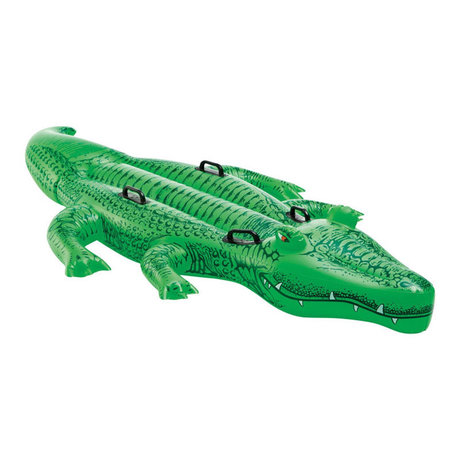 Green Crocodile Plastic Pool Float On Stock Photo 1449672551