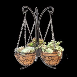 Panacea 16  H X 11  W X 9  D Metal Tabletop Hanging Planter Black