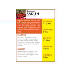 Lake Valley Seed Vegetable Seeds