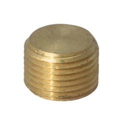 JMF Company 1/8 in. MPT Brass Counter Sunk Plug