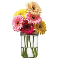 Jarware 0.25 in. H X 2.75 in. W X 3.25 in. L Green Plastic Mason Jar Flower Grid