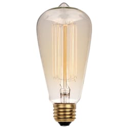 Westinghouse Timeless Vintage 60 W ST20 Decorative Incandescent Bulb E26 (Medium) White 1 pk