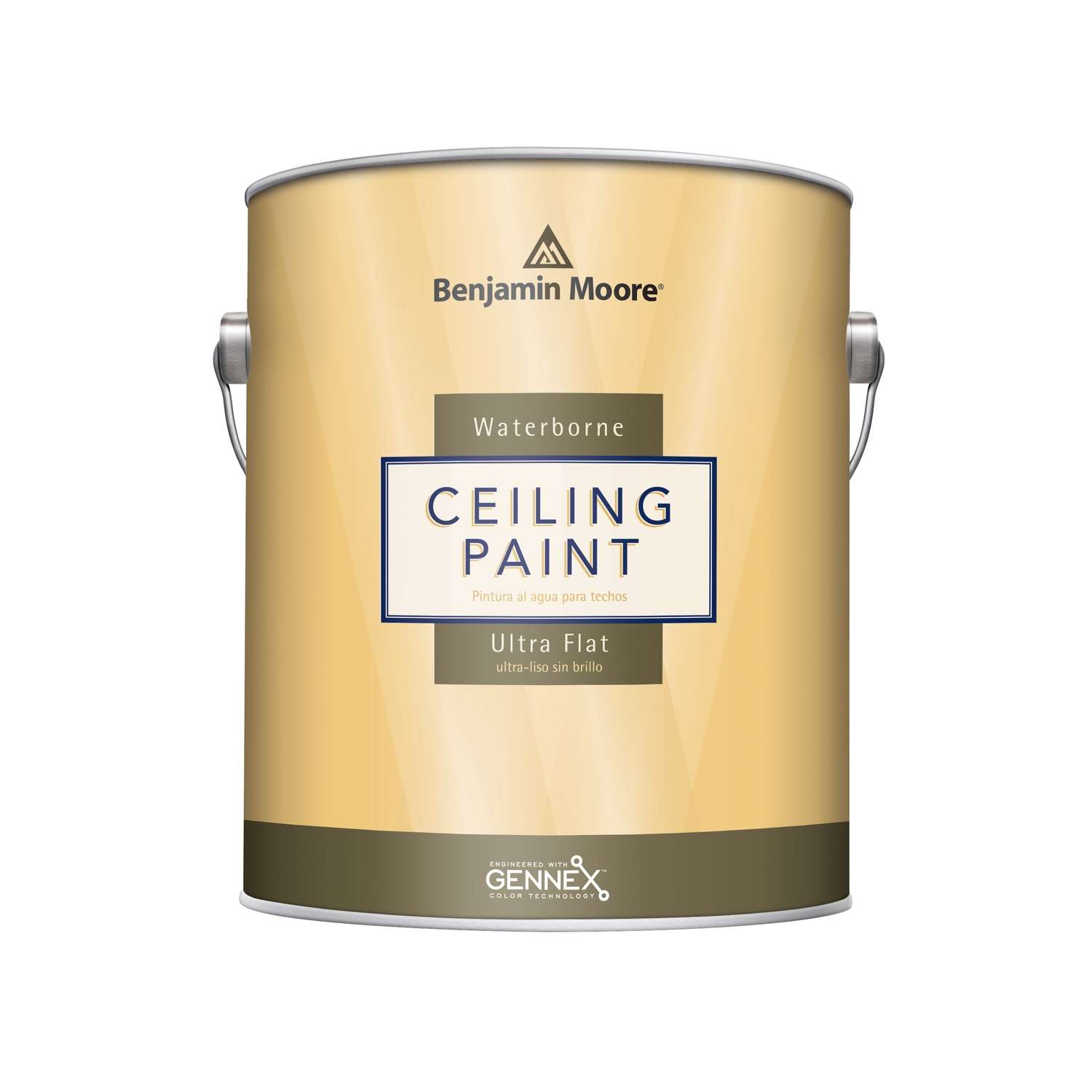 Benjamin Moore Waterborne Ceiling Paint Flat White Ceiling Paint