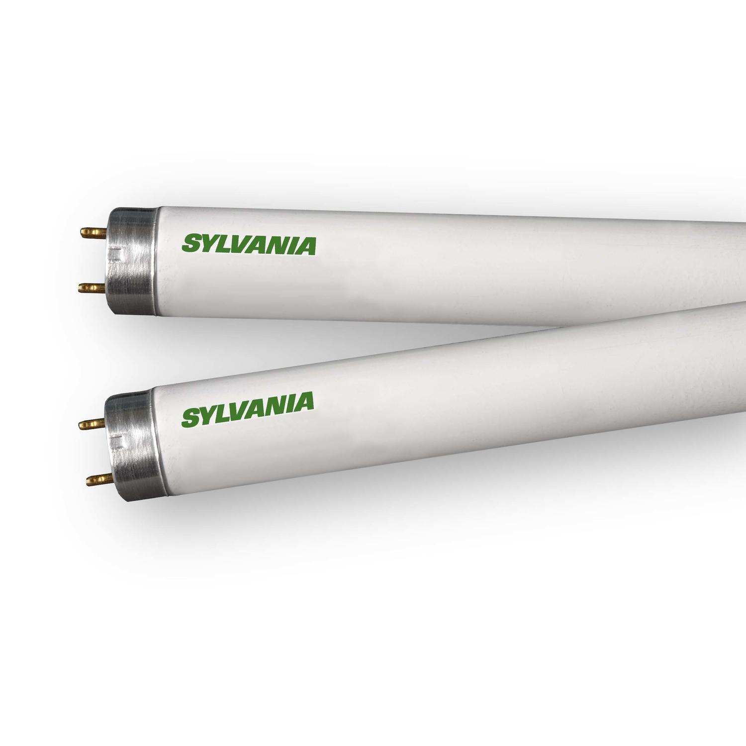 Sylvania Octron 25 W T8 1 in. D X 36 in. L Fluorescent Tube