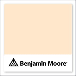 Benjamin Moore Gerbera Daisy 2015-60