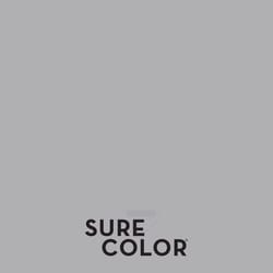 Rust-Oleum Sure Color Eggshell Storm Gray Water-Based Paint + Primer Interior 1 gal