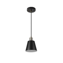 Globe Electric Matte Black 1 lights Pendant Light