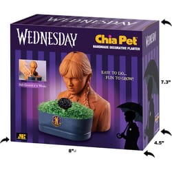 Chia Pet Wednesday Planter 1 pk