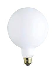 Westinghouse 100 W G40 Globe Incandescent Bulb E26 (Medium) White 1 pk