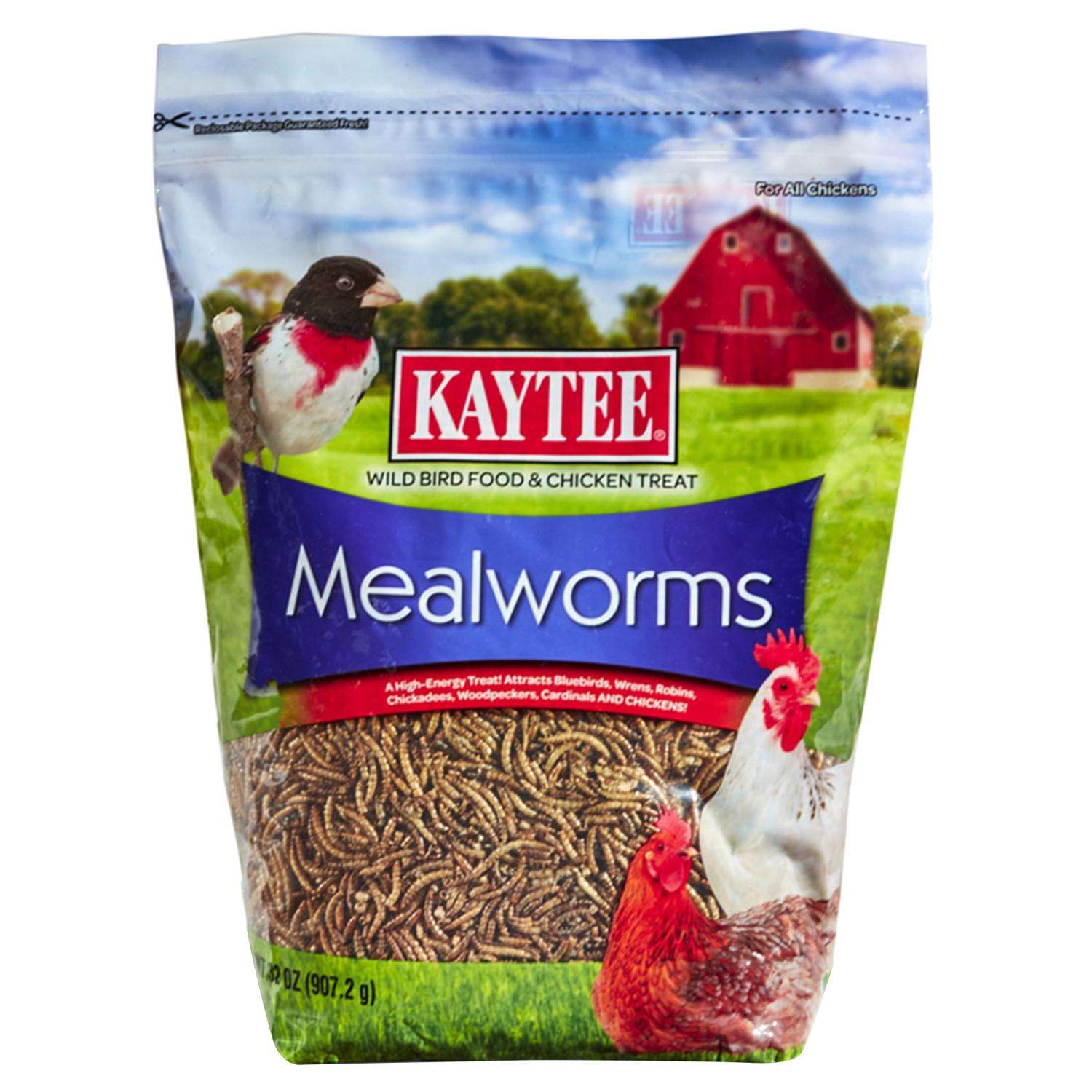 Kaytee Mealworms Wild Bird/Poultry Dried Mealworm Mealworms 32 oz Ace Hardware