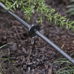 Raindrip Spot Drip Irrigation Dripper 1 gph