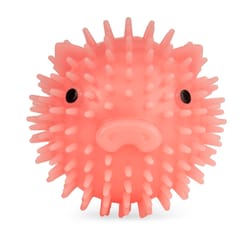 Kikkerland Pink TPR Piggy Ball Dog Toy 1 pk
