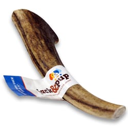 Jack & Pup Elk Antler Grain Free Bone Horn For Dogs 6 in. 1 pk