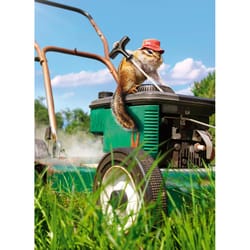 Avanti Seasonal Chipmunk Lawnmower Father's Day Card Paper 2 pc