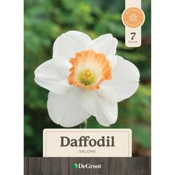 DeGroot Flower Bulb 7 pk