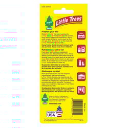 Little Trees Black Ice Scent Car Air Freshener Solid 3 pk