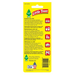 Little Trees Spray 3-PACK (Black Ice)