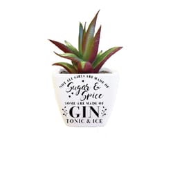 Sentiment Succulents 4 in. H X 2.25 in. L Multicolored Plastic Planter