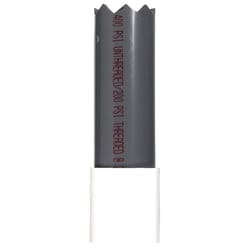 Campbell 2 in. D X 2 in. D Plastic Threaded Foot Valve