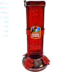 More Birds Hummingbird 19 oz Glass/Metal Bird Feeder 4 ports
