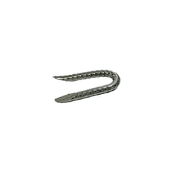 Grip-Rite 1/4 in. W X 1-1/4 in. L Bright Steel Fence Staples 9 Ga. 4350 pk 50 lb