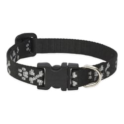 Lupine Pet Original Designs Multicolor Bling Bonz Nylon Dog Adjustable Collar