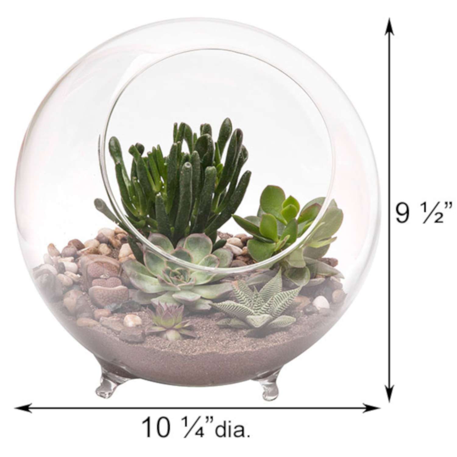 Terrarium Gauges - Combo Pack