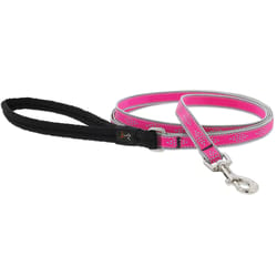 Lupine Pet Reflective Pink Daimond Nylon Dog Leash