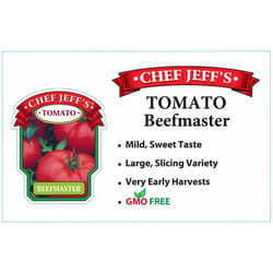 Chef Jeff Red Beef Master Tomato Vegetable Plant