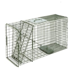 Duke Large Live Catch Cage Trap For Raccoons 1 pk